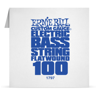 Single Flatwound Bass 100