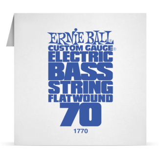 Single Flatwound Bass 070