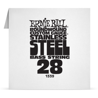 Single Stainless Bass 028