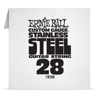 Single Stainless 028